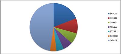 The Broad Clinical Spectrum of Epilepsies Associated With Protocadherin 19 Gene Mutation